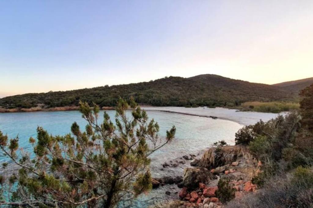 Villa Bergerie #Casa Di Petra A Palombaggia Avec Piscine Porto Vecchio Exterior foto